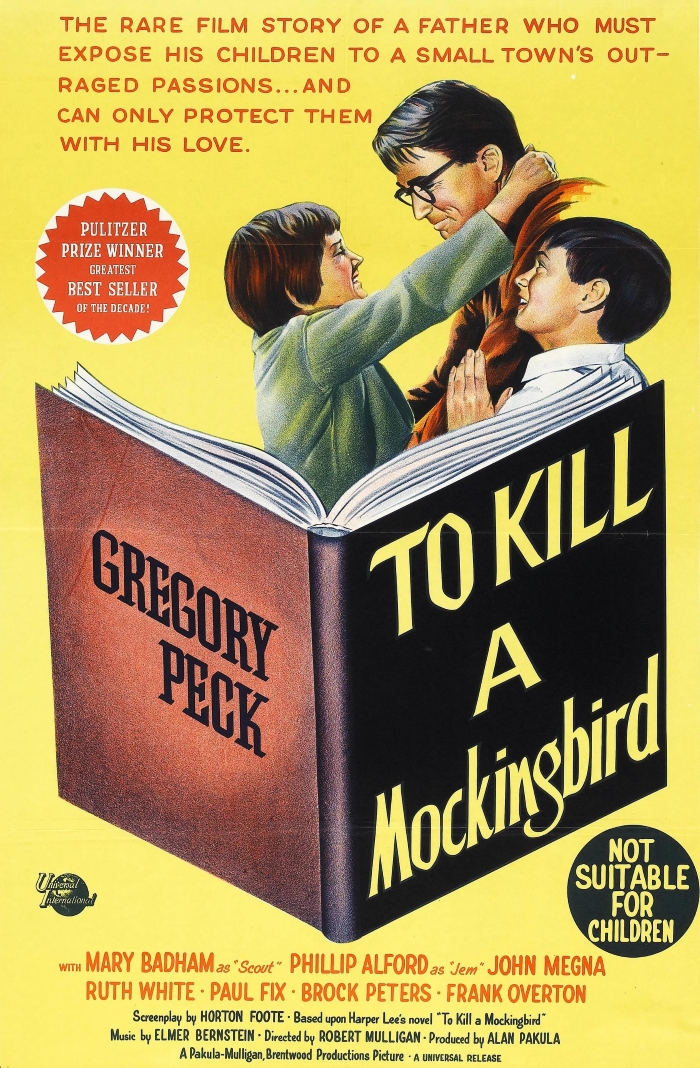 to kill a mockingbird (700)